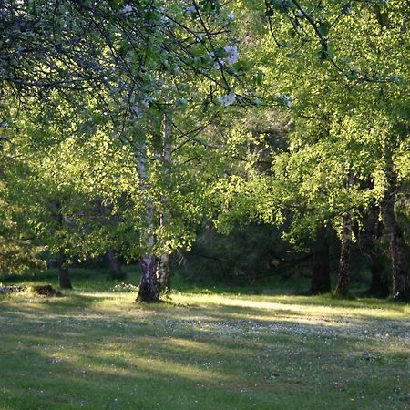 Les Charlotieres Villa Chailles  Bagian luar foto
