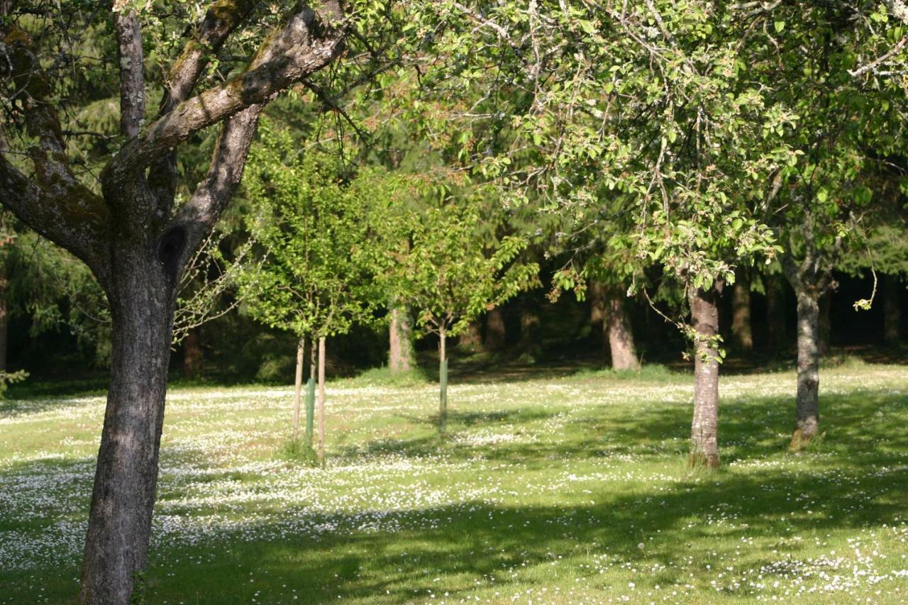 Les Charlotieres Villa Chailles  Bagian luar foto